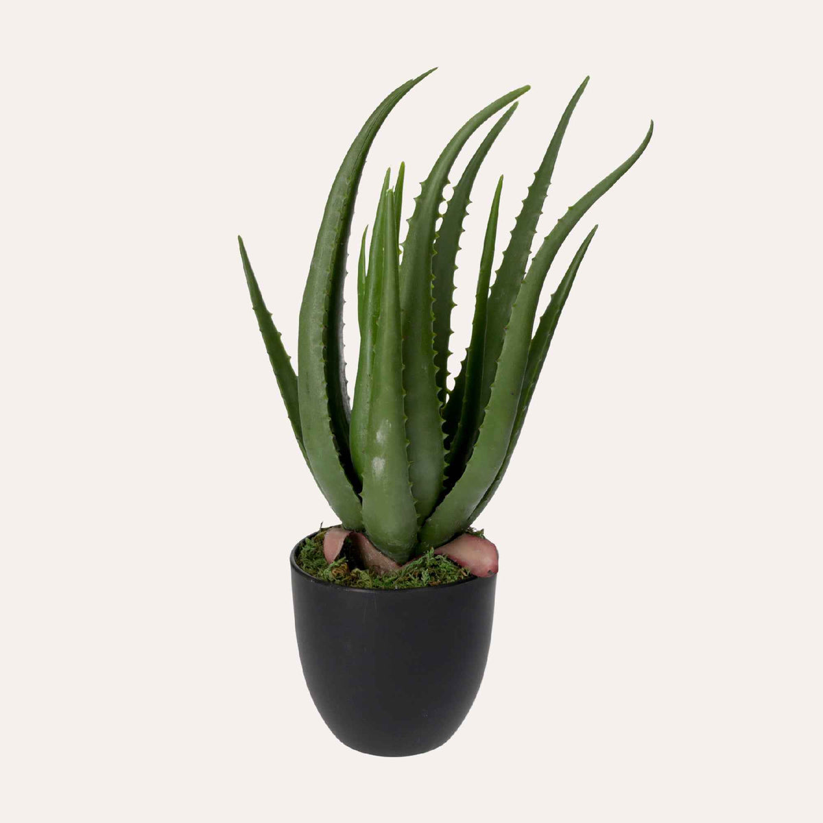Artificial Aloe Vera Plant 40cm High with Pot