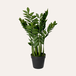 Planta artificial Zanzíbar Gema H. ​​34 cm