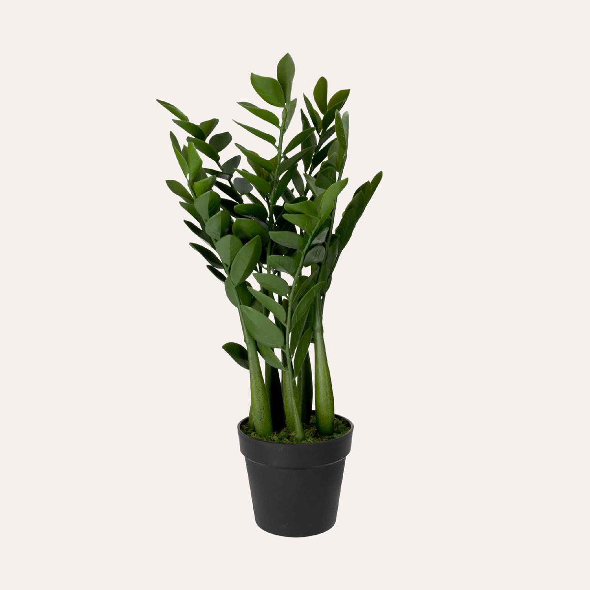 Planta artificial Zanzíbar Gema H. ​​34 cm