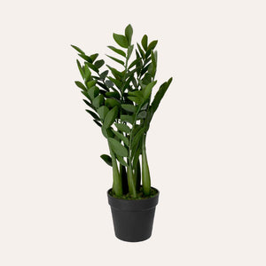 Planta artificial Zanzíbar Gema H. ​​34 cm