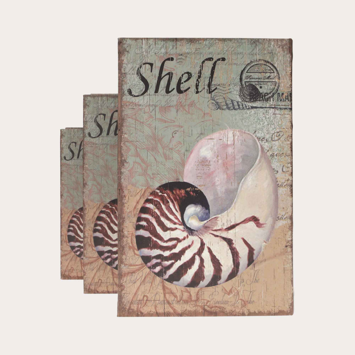 Tris di Scatole Libro con Design a Conchiglia