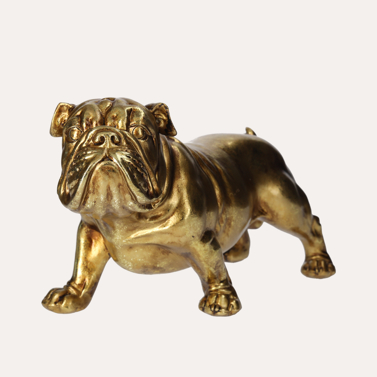 Bulldog in Resina Oro H.19x35x15 cm