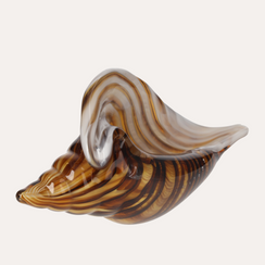 Conchiglia in Vetro Marrone Sfumato Giallo H.13x28 cm