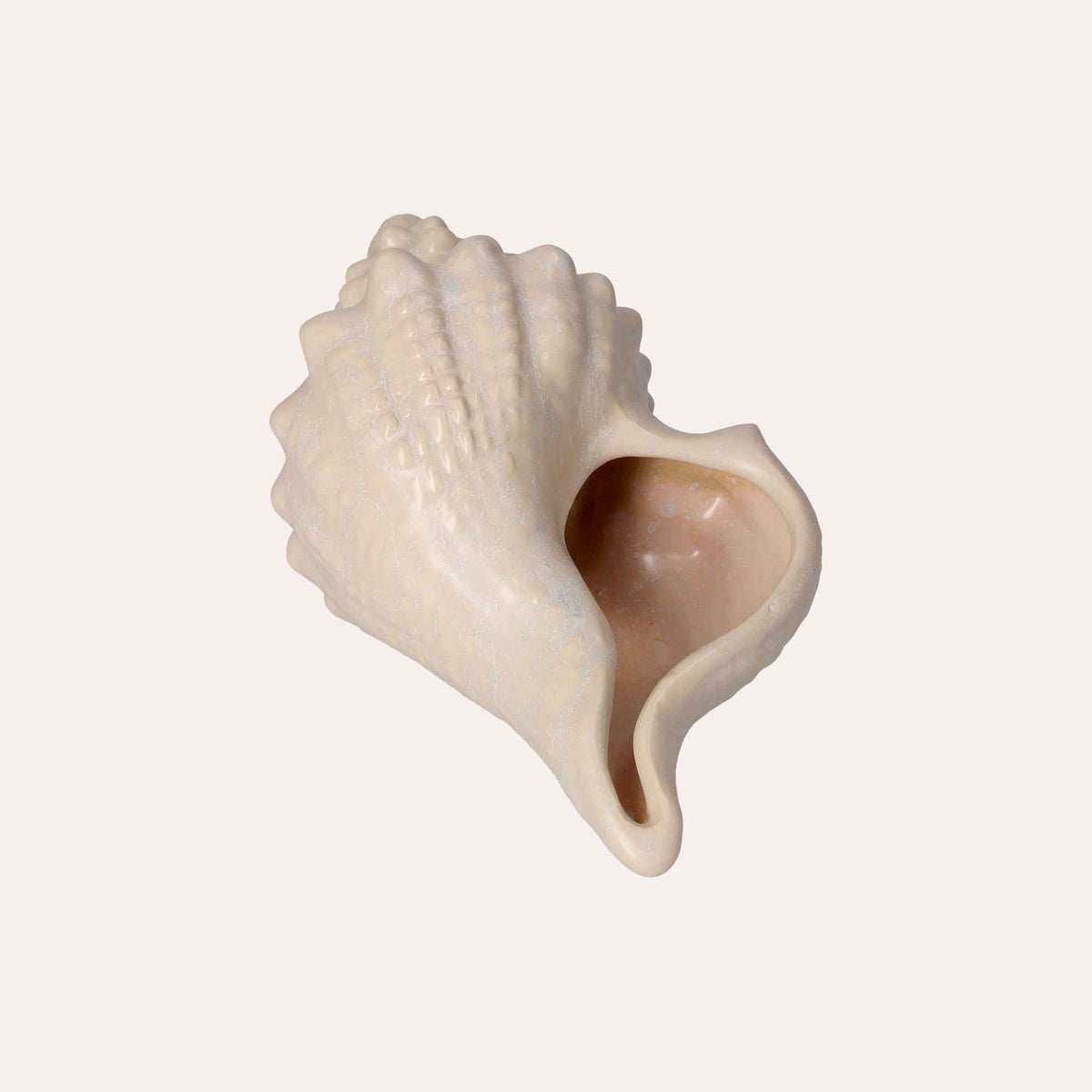Conchiglia Decorativa Bianca Lucida Soprammobile Marino in Ceramica