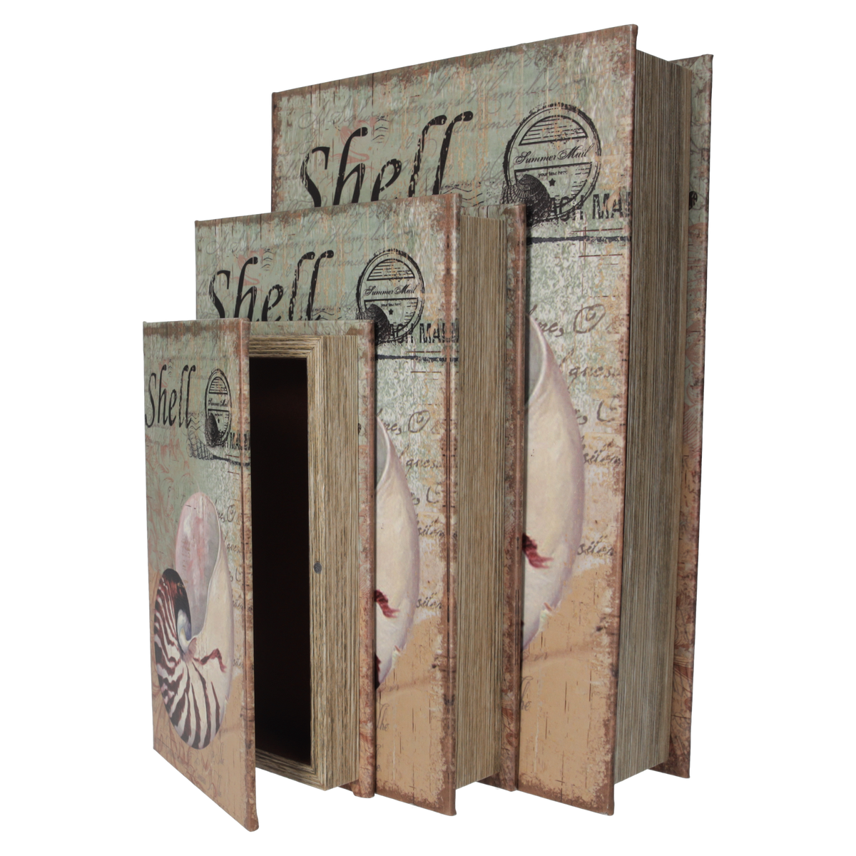 Tris di Scatole Libro con Design a Conchiglia