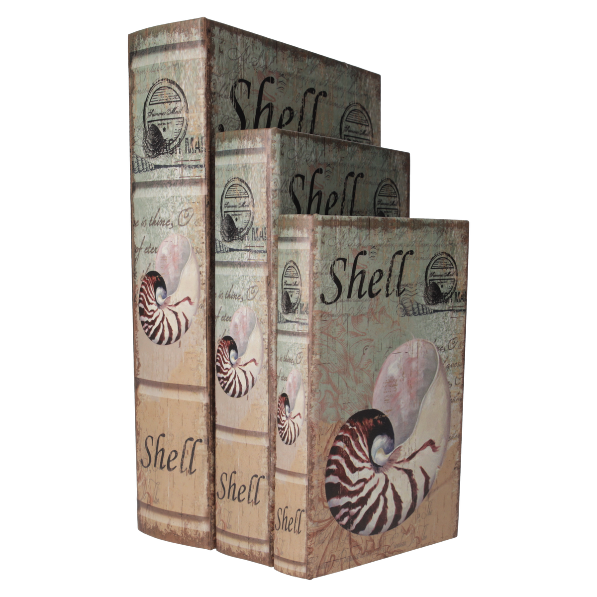 Tris di Scatole Libro con Design a Conchiglia