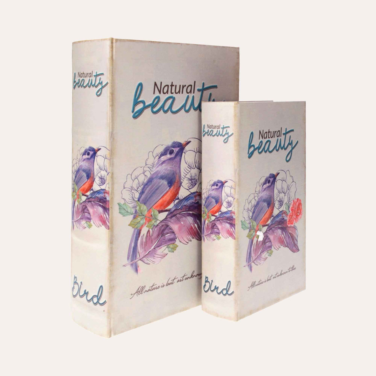 Ensemble de boîtes à livres avec oiseau violet pour l'organisation