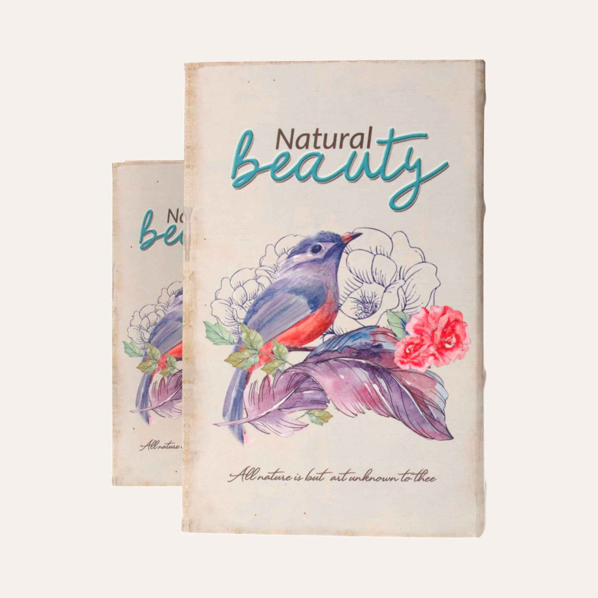 Ensemble de boîtes à livres avec oiseau violet pour l'organisation