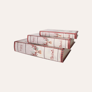 Trio of Book Boxes with Reindeers