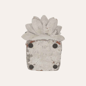 Medium Decorative Bud with Square Resin Base H30x20 cm - Shabby Chic Style