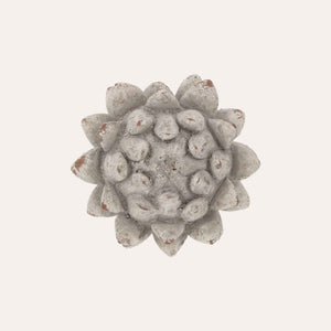 Small Decorative Bud in Antique Gray Resin H22x17 cm – Shabby Chic Style