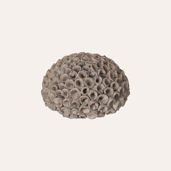 Large Gray Resin Decorative Coral