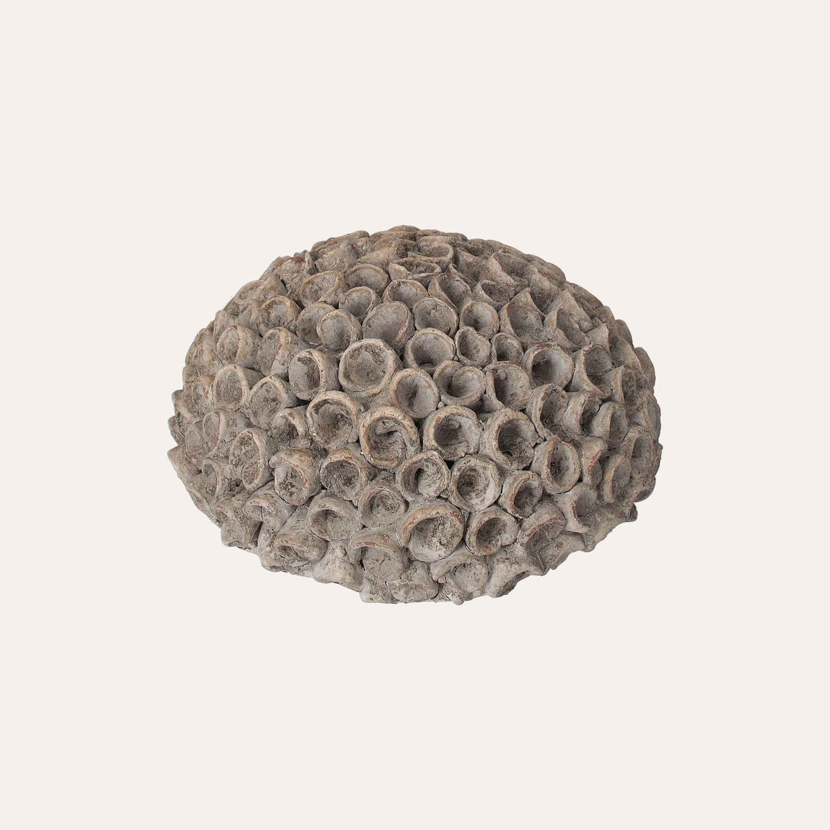 Corallo Decorativo in Resina Grigio Piccolo