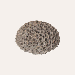 Decorative Coral in Small Gray Resin
