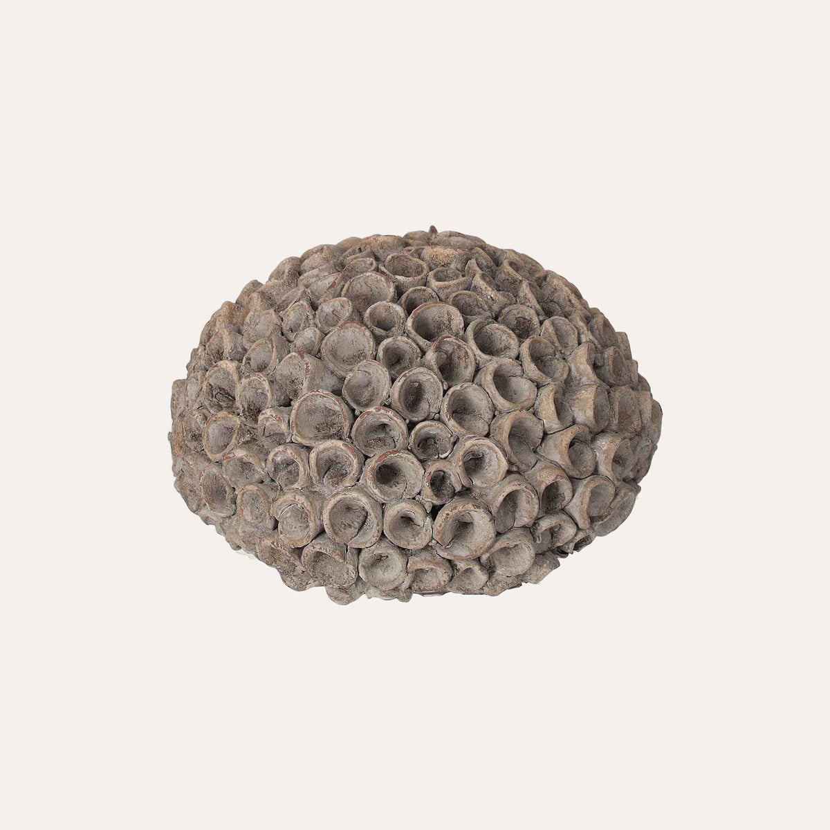 Decorative Coral in Small Gray Resin