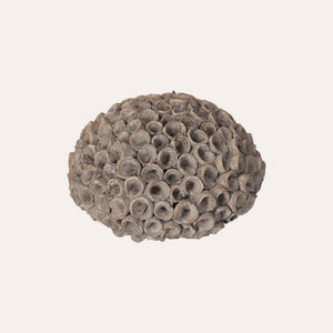 Decorative Coral in Small Gray Resin