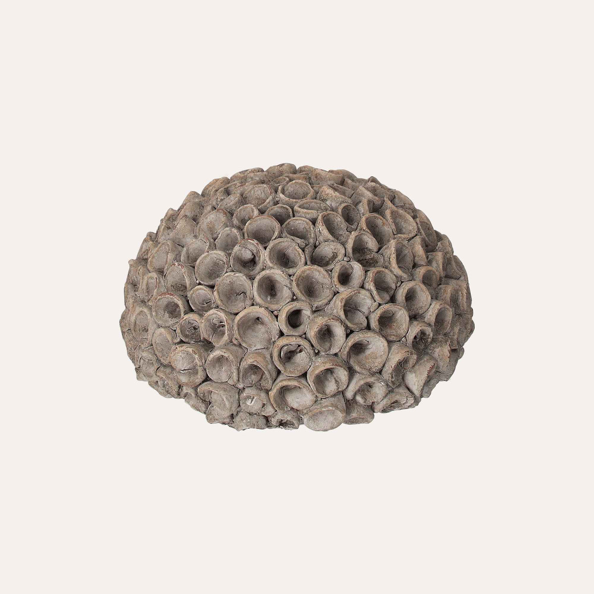 Decorative Coral in Small Gray Resin