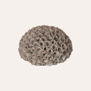 Decorative Coral in Small Gray Resin