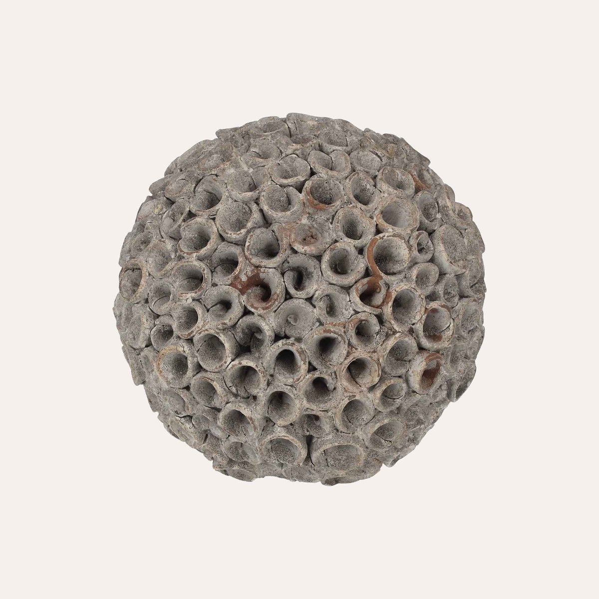 Decorative Coral in Small Gray Resin