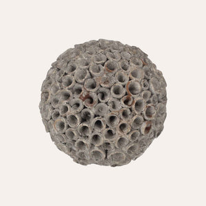 Decorative Coral in Small Gray Resin