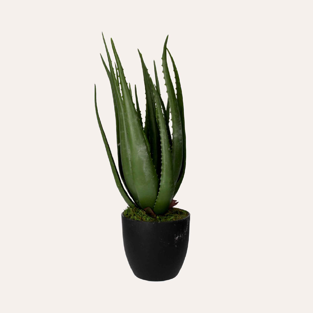 Artificial Aloe Vera Plant 66cm High with Pot