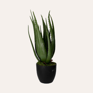 Artificial Aloe Vera Plant 66cm High with Pot