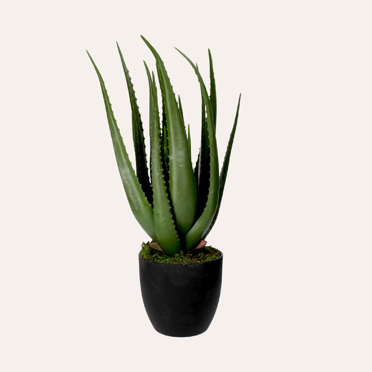 Artificial Aloe Vera Plant 66cm High with Pot