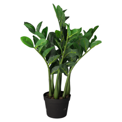 Gemma Di Zanzibar Artificiale Con Vaso H. 76cm