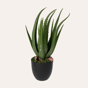 Pianta Artificiale Aloe Vera Alta 40 cm con Vaso
