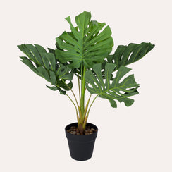 Monstera Artificiale Di Alta Qualità