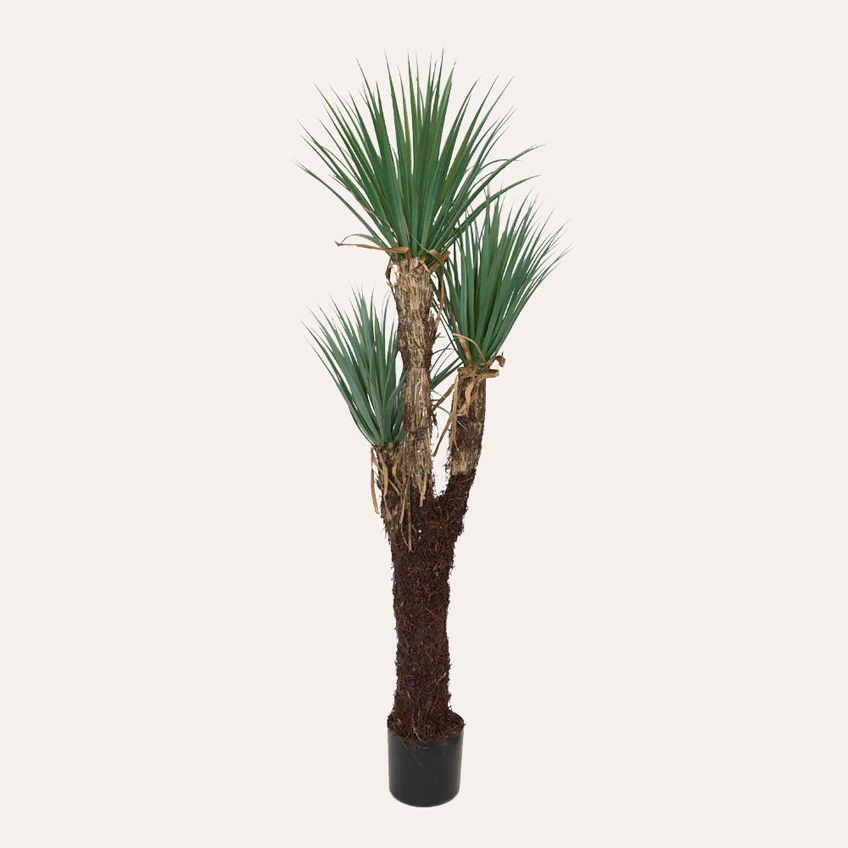 Artificial Yucca Plant 150cm High in Pot