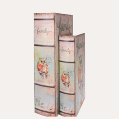 Par de Cajas para Libros Búho en MDF
